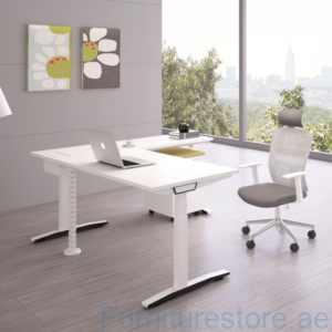 Best Sit Stand Height Adjustable Desk